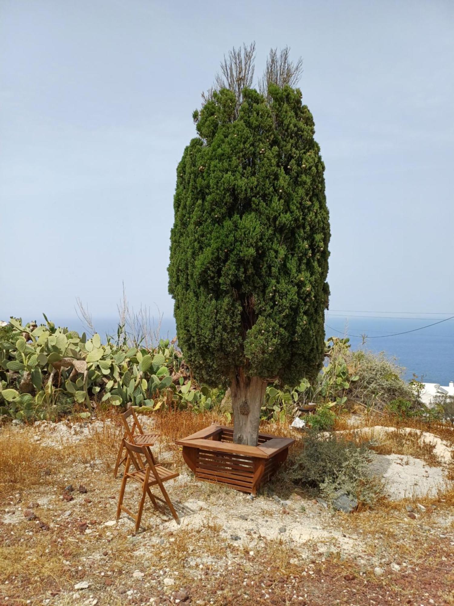 'Irene' Cycladic House With Sunrise And Sea View! Villa Foinikiá Eksteriør billede